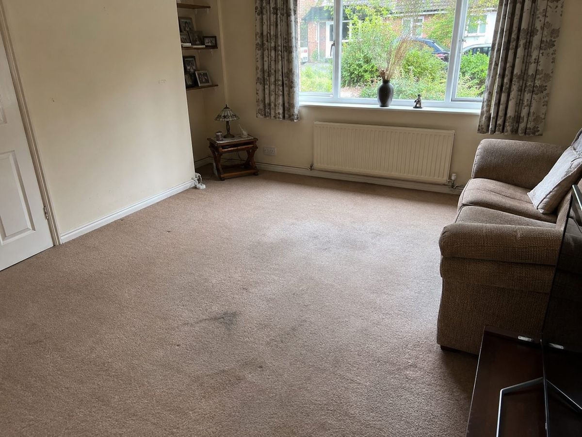 Before: a living room with worn beige carpet and bare walls